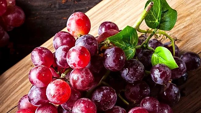 New Study Highlights Grapes as a Potential Superfood with Multiple Health Benefits