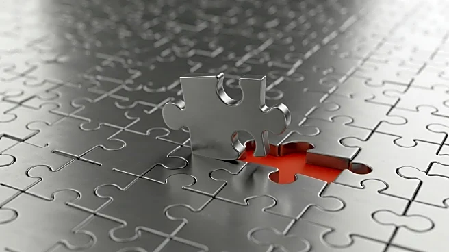 Capital Solutions Group Appoints Larry Denton as COO Amidst Financial Challenges