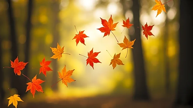CNN Weather Predicts Fall-Like Weather to Persist Across U.S.
