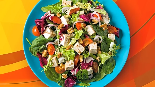Health Experts Emphasize Importance of Healthy Lunches for Classroom Learning
