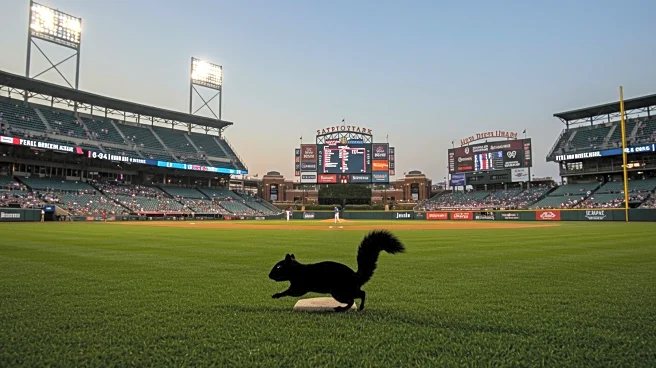 Yankees-Red Sox Game Interrupted by Squirrel at Yankee Stadium