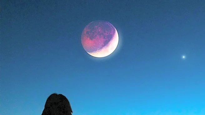 Rare 'Black Moon' Phenomenon Offers Stargazing Opportunities in Evansville