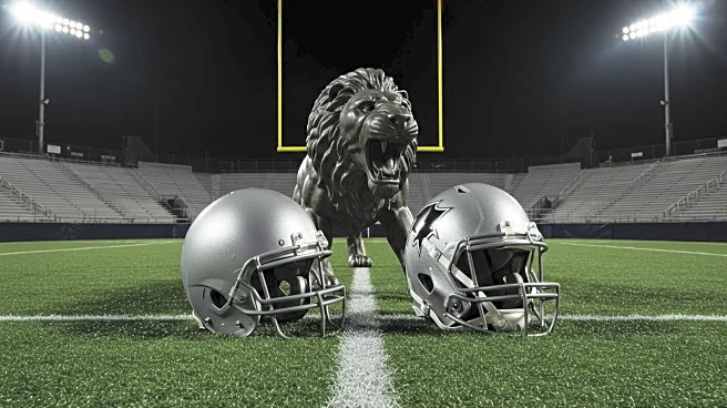 Houston Texans and Detroit Lions Face Off in NFL Preseason Game