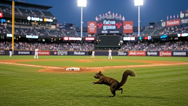 Squirrel Disrupts Red Sox-Yankees Game, Causing Brief Delay