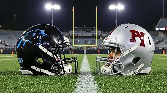 Carolina Panthers' Tetairoa McMillan Projected for Breakout Season with Bryce Young