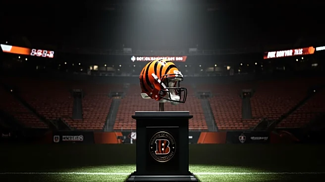 Boomer Esiason Criticizes Bengals' Accommodation Offer for Ring of Honor Ceremony
