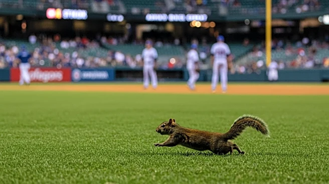 Squirrel Causes Amusement and Delay at Yankee Stadium During Red Sox Game