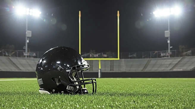 Ravens' Rasheen Ali Secures Touchdown in Preseason Win Over Washington
