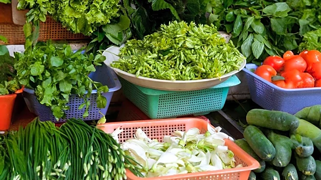 Parma Farm Stands Foster Community Self-Reliance and Sharing