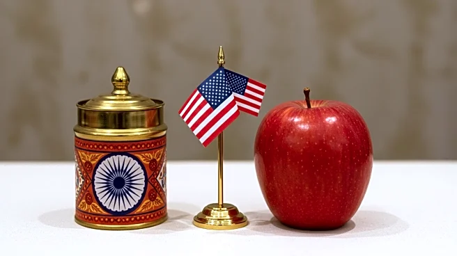 India Continues Trade Negotiations with U.S. Amid High Tariffs on Indian Goods