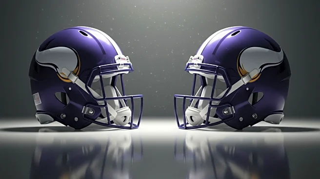 Minnesota Vikings Evaluate Roster After Preseason Loss to Titans