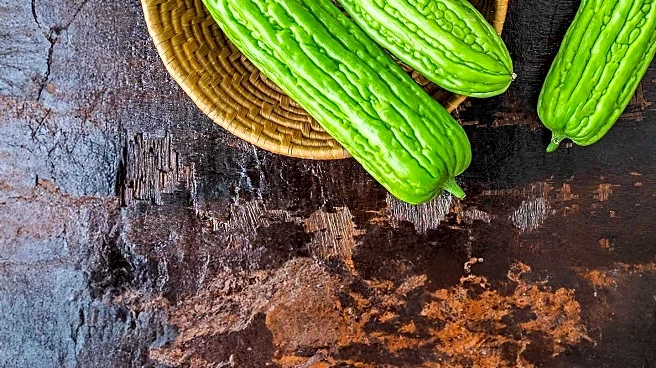 Ancient Remedy Bitter Melon Shows Potential Health Benefits for Blood Sugar and Cancer