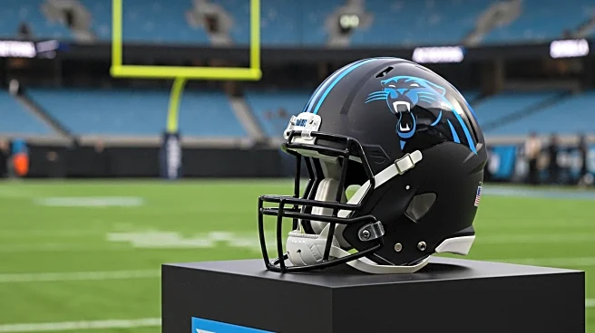 Carolina Panthers' Tetairoa McMillan Projected for Breakout Season by NFL Insider