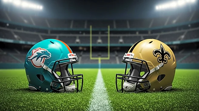 NFL Preseason: Miami Dolphins and Jacksonville Jaguars Begin Matchup