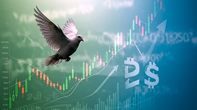 Powell's Dovish Speech Sparks Surge in Stocks and Cryptocurrencies