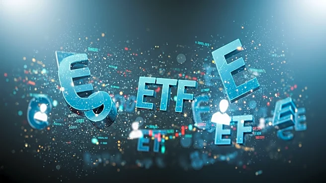 Retail Investors' Rush into Speculative ETFs Raises Market Concerns