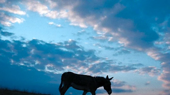 Donkey Leads Funeral Procession for Wiltshire Animal Lover