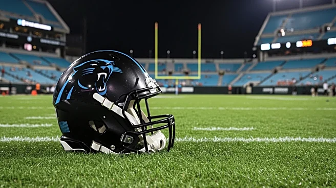 Carolina Panthers Rookie Tetairoa McMillan Predicted for Breakout Season