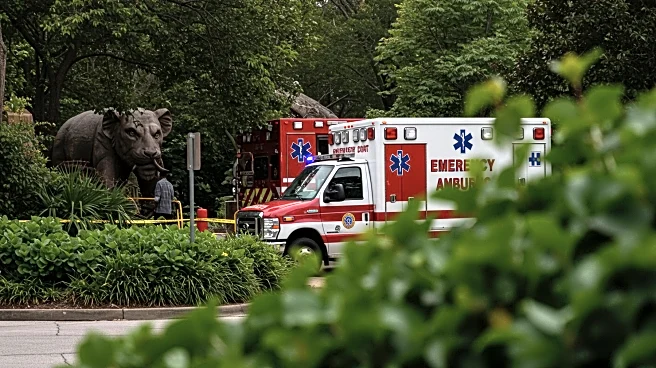 Miami Deputy Hospitalized Following Crash Near Zoo Miami