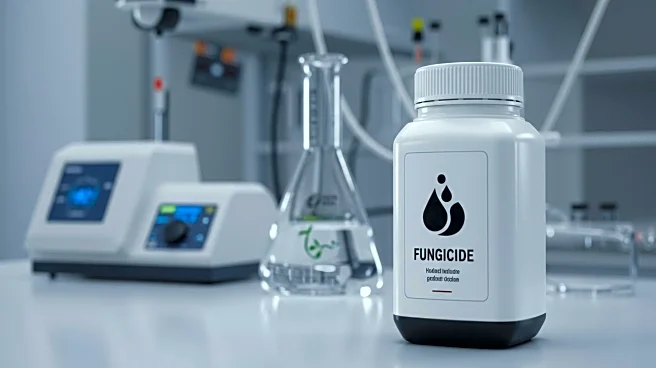 ISO Provisionally Approves Enprocymid as Common Name for Fungicide, Ensuring Global Consistency