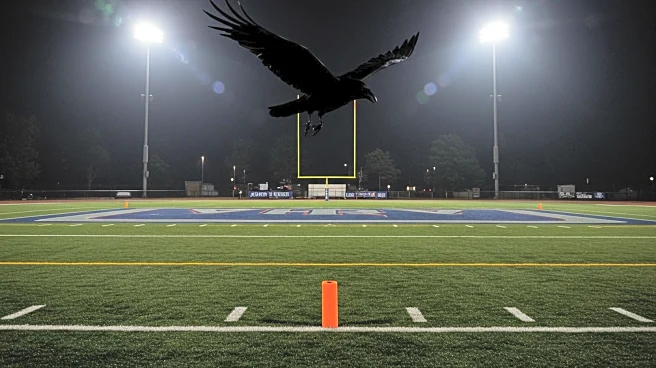 Ravens Dominate Commanders in Preseason Finale with 30-3 Victory