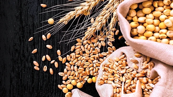 CleanTechnica Highlights Benefits of High Fiber Diet for Health and Environment