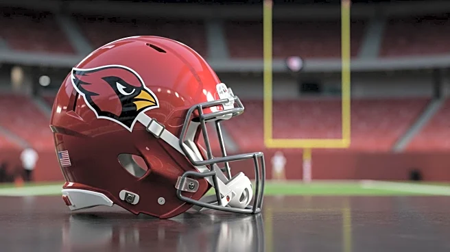 Arizona Cardinals Finalize 2025 Roster Amid Injury Concerns