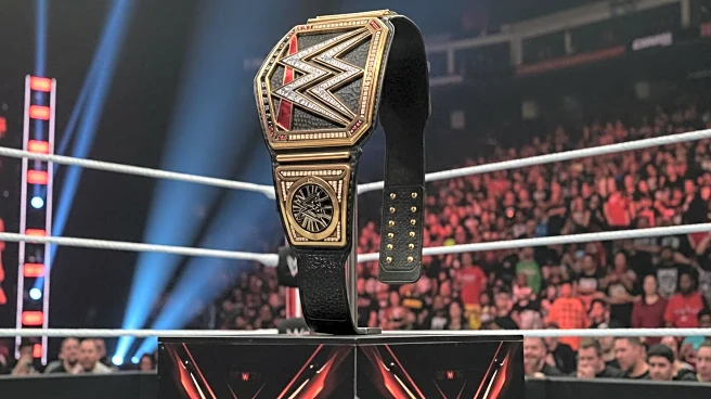 WWE's 2025 Events Highlight Mixed Performances and New Champions