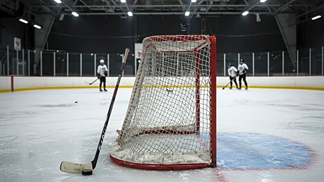 Maple Leafs Goalie Anthony Stolarz Excluded from Team USA Olympic Camp