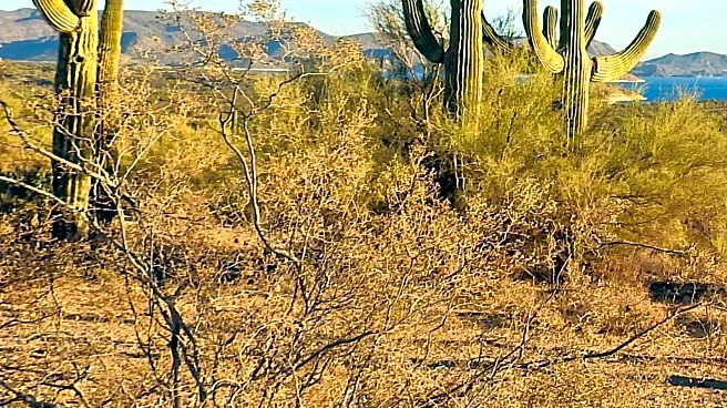Coventry Photographer Captures Rural Arizona Life While Working as a Cowboy