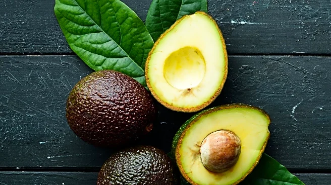 Dietitians Discuss Daily Avocado Consumption and Its Health Implications