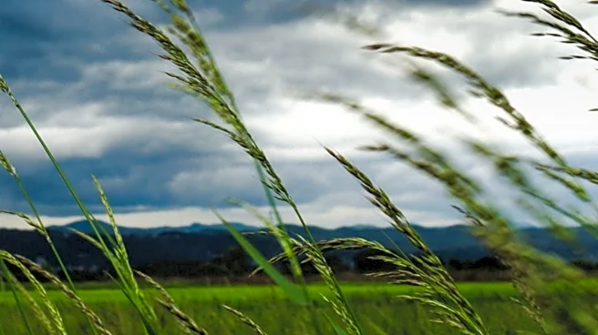 Weather Forecast: Mixed Skies and Light Winds Expected with Possible Showers