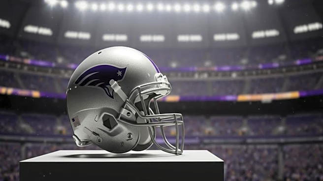 Minnesota Vikings Finalize 2025 Roster with Key Trades and Signings