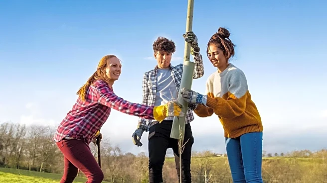 Squashbox Theatre Celebrates Cornwall's 1.6 Million Tree Planting Initiative with Free Shows