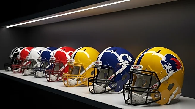 NFL's New Head Coaches: Evaluating Success Potential for 2025