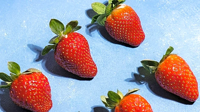 Doctors Highlight Strawberries as Key to Lowering Dementia and Alzheimer's Risk