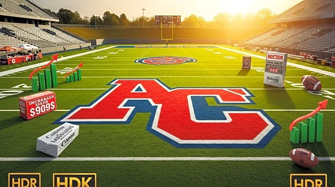 Colleges Turn to Field Logos and Higher Prices to Fund Athletic Programs