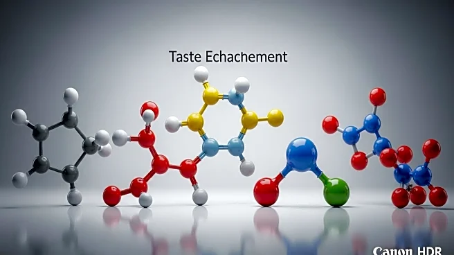 Research Identifies Compounds to Improve Artificial Sweetener Taste