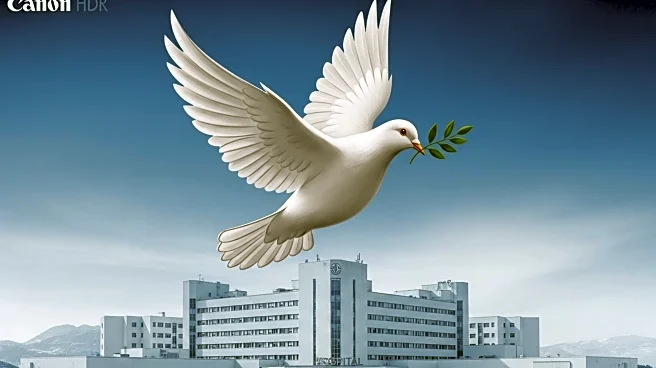 Israeli Strikes on Gaza Hospital Result in Deaths of Palestinian Journalists