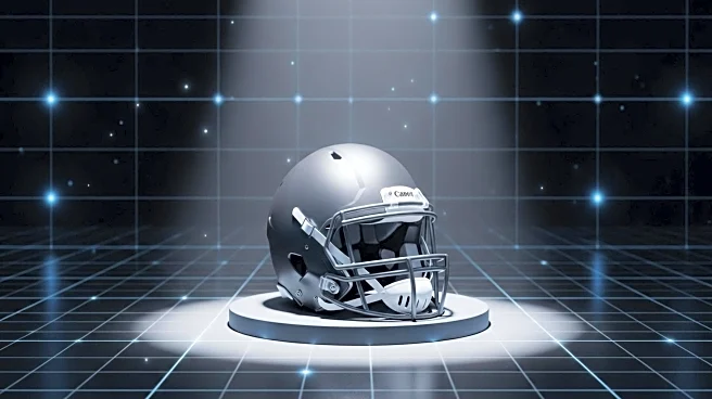 ESPN Analyzes Fantasy Football D/ST Strategy for 2025 Season