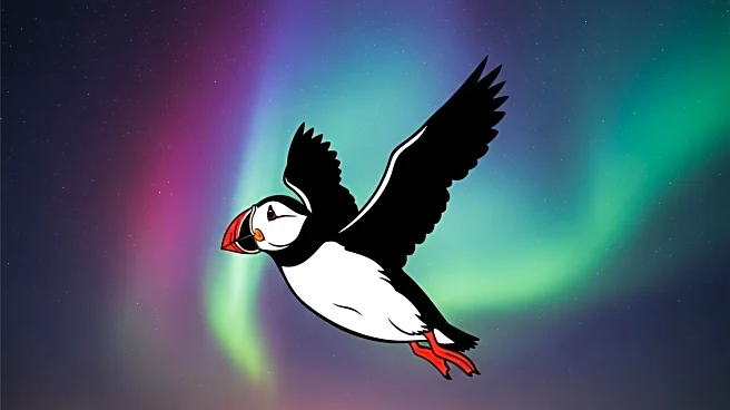 Iceland Airwaves Festival Expands Line-Up with 18 New Artists for 25th Anniversary