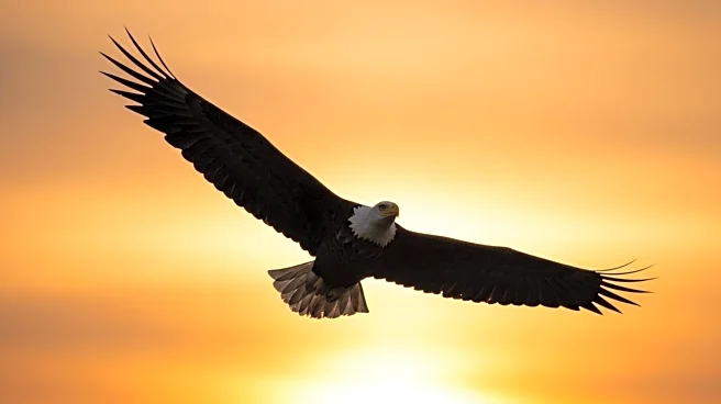 Trump Administration Proposes Limiting Endangered Species Act Protections