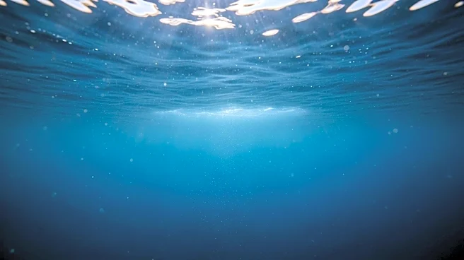 Scientists Identify Cause of Mysterious Ocean Glow Linked to Plankton