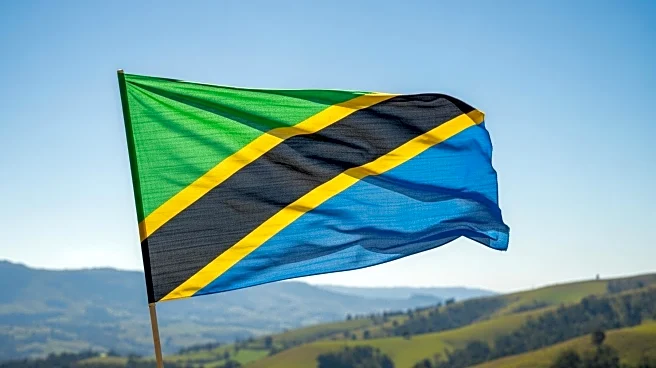 Tanzanian President Hassan's First Year: Progress and Challenges in Reform