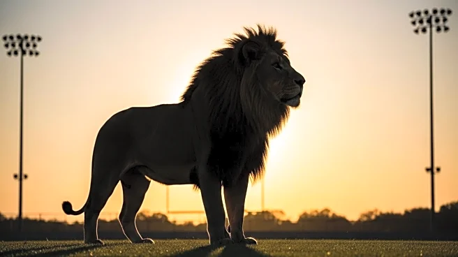 Lions' Amon-Ra St. Brown Ranks No. 20 in 2025 NFL Top 100 Players