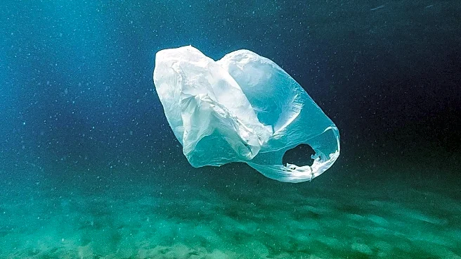 Health Experts Highlight Grave Danger of Plastic Pollution Impacting Human Health