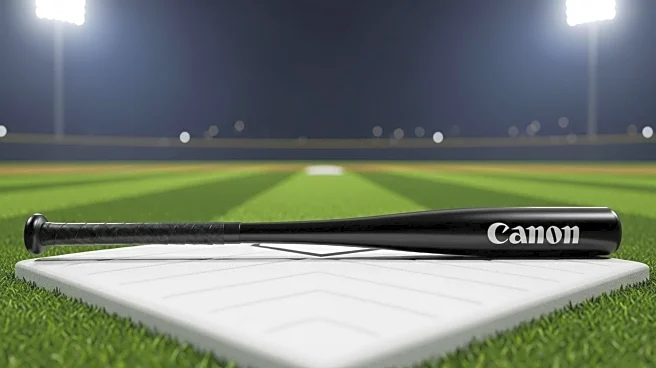 White Sox's Brooks Baldwin Takes a Break Amid Strong Performance