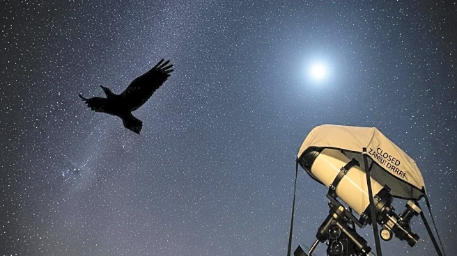 Study Reveals Impact of Light Pollution on Bird Behavior and Zambuto Mirrors Closure