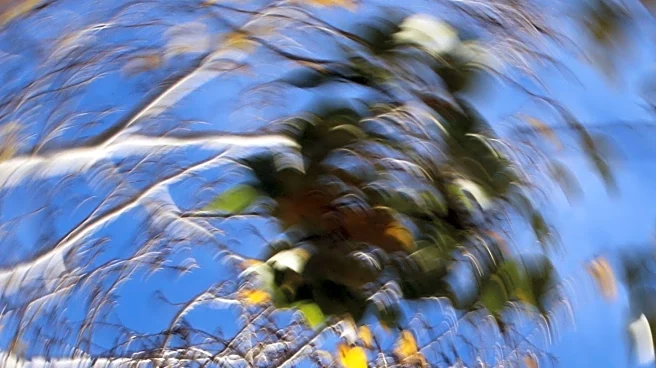 Medical Experts Highlight Causes and Remedies for Dizziness in Older Adults