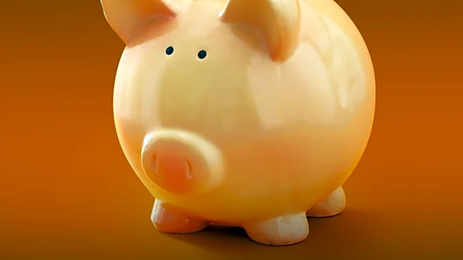 Medical Researchers Conduct Pig-to-Human Lung Xenotransplantation Trial in Brain-Dead Recipient